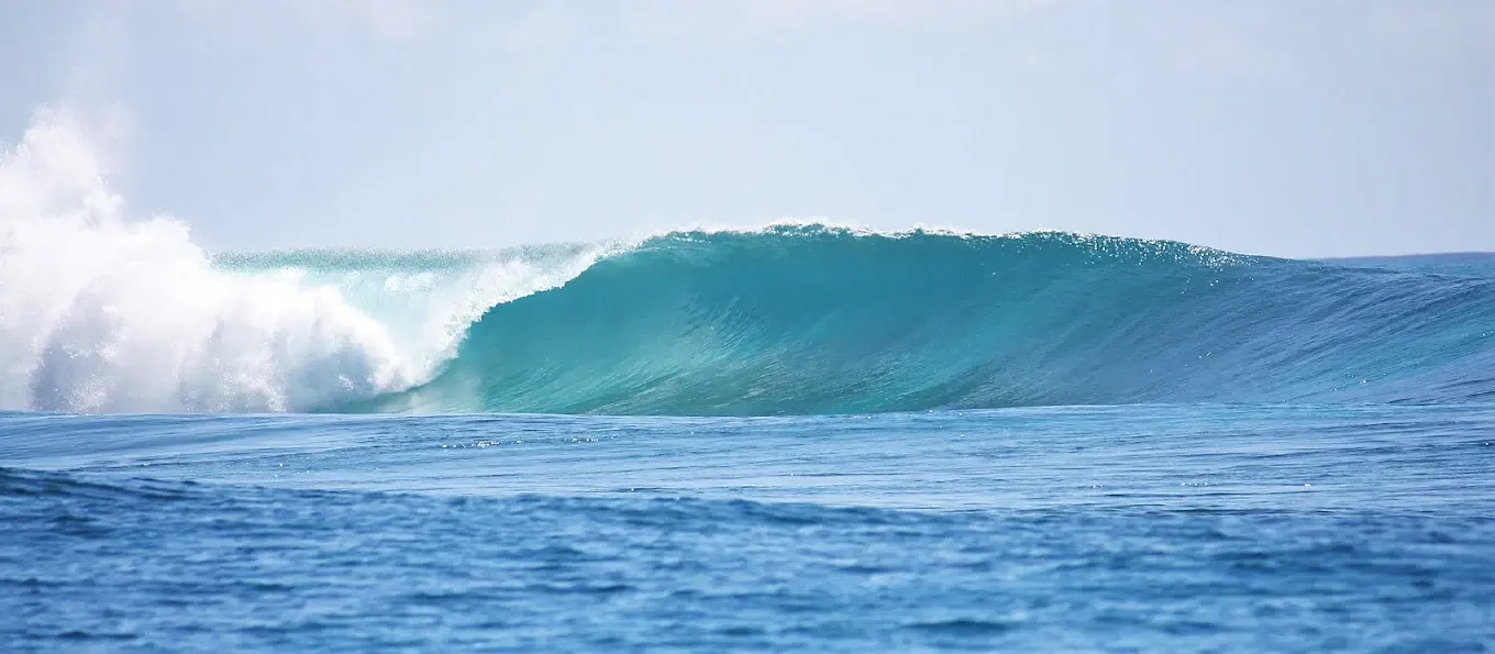 Une vague déferle sur la barrière de corail